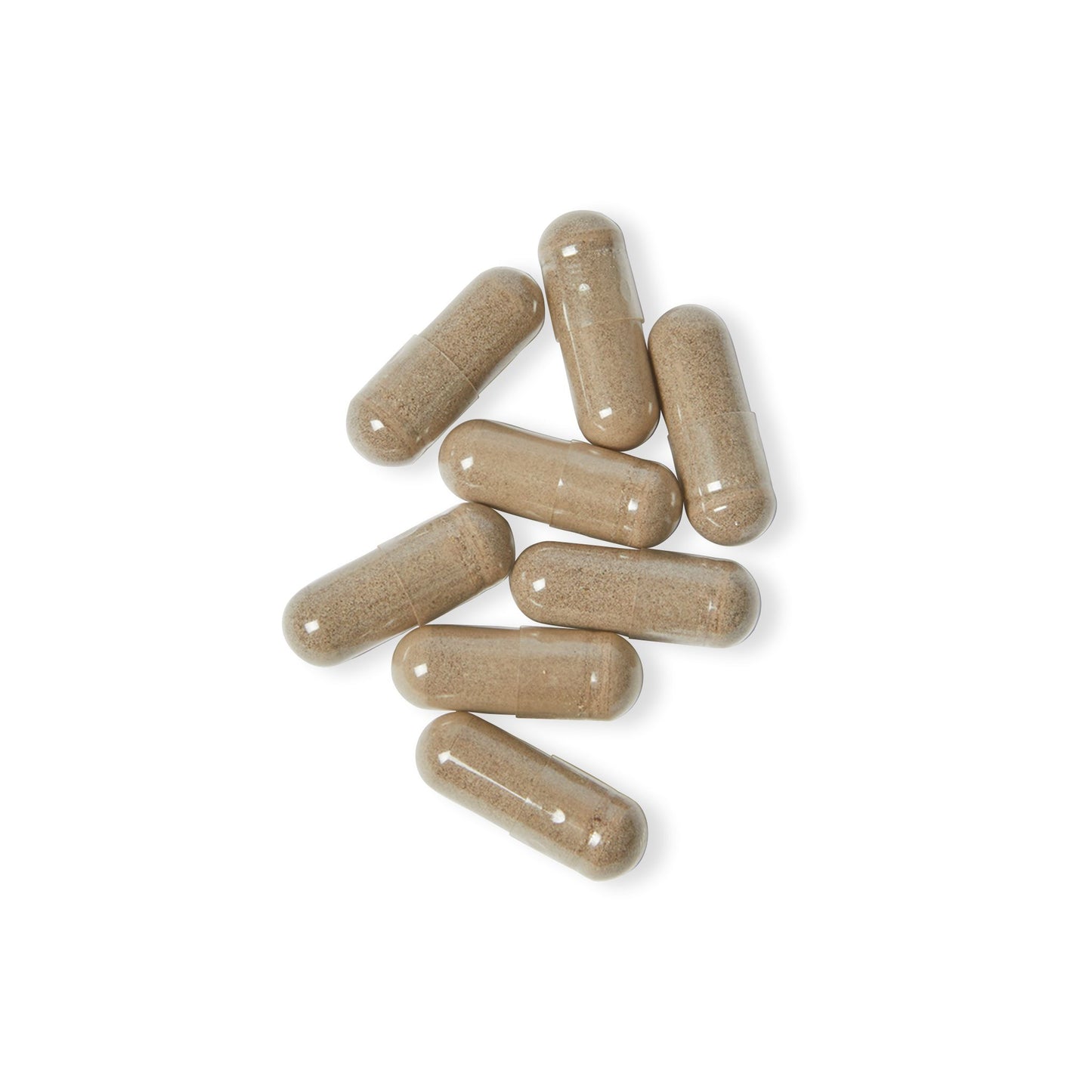 Sea Moss Supplement by VitaMIND (60 Capsules)